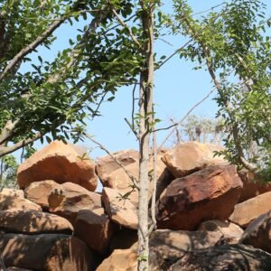 ฺB1 กำแพงเจ็ดชั้น ขนาด 4 นิ้ว