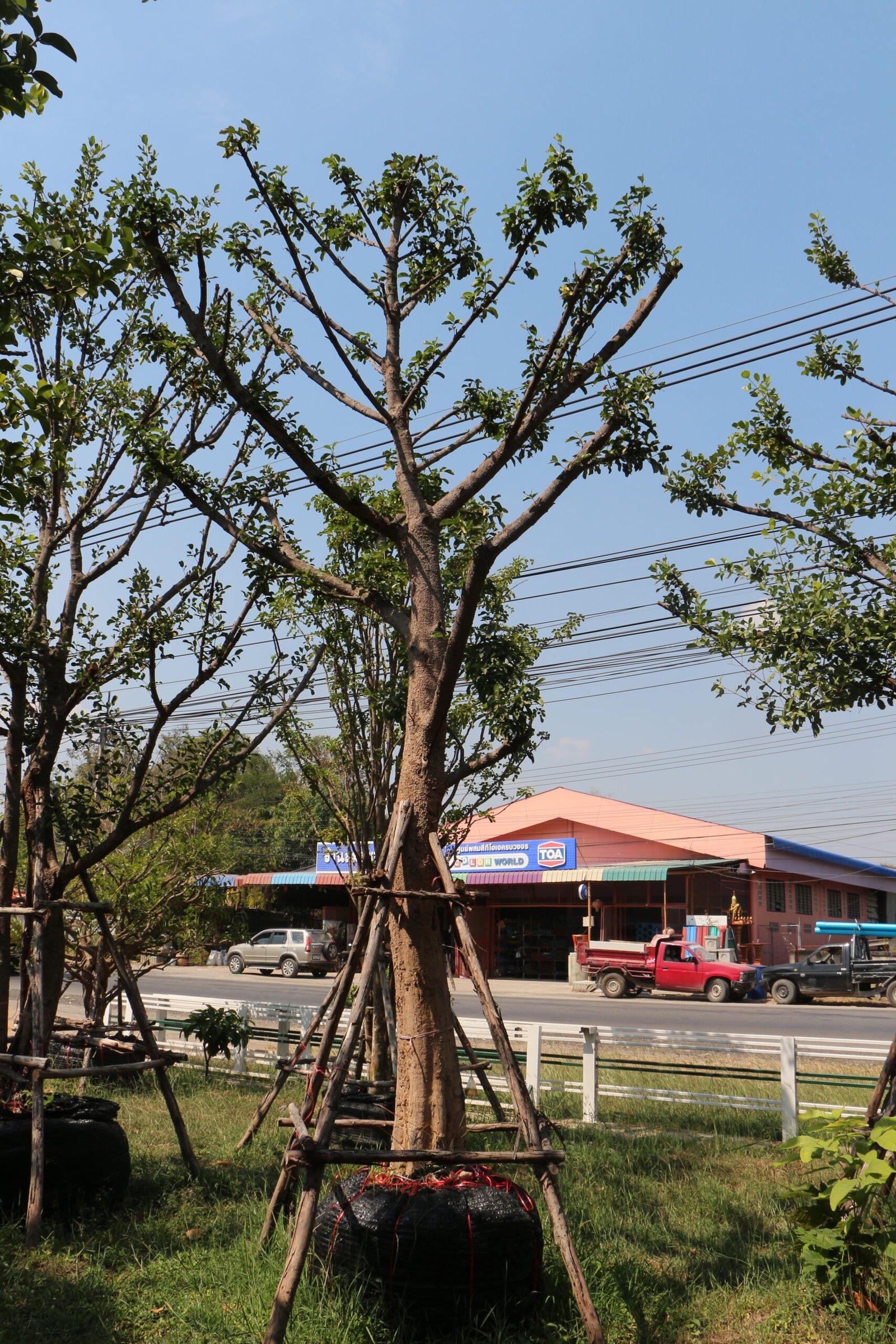 A6 มั่งมี ขนาด 13 นิ้ว