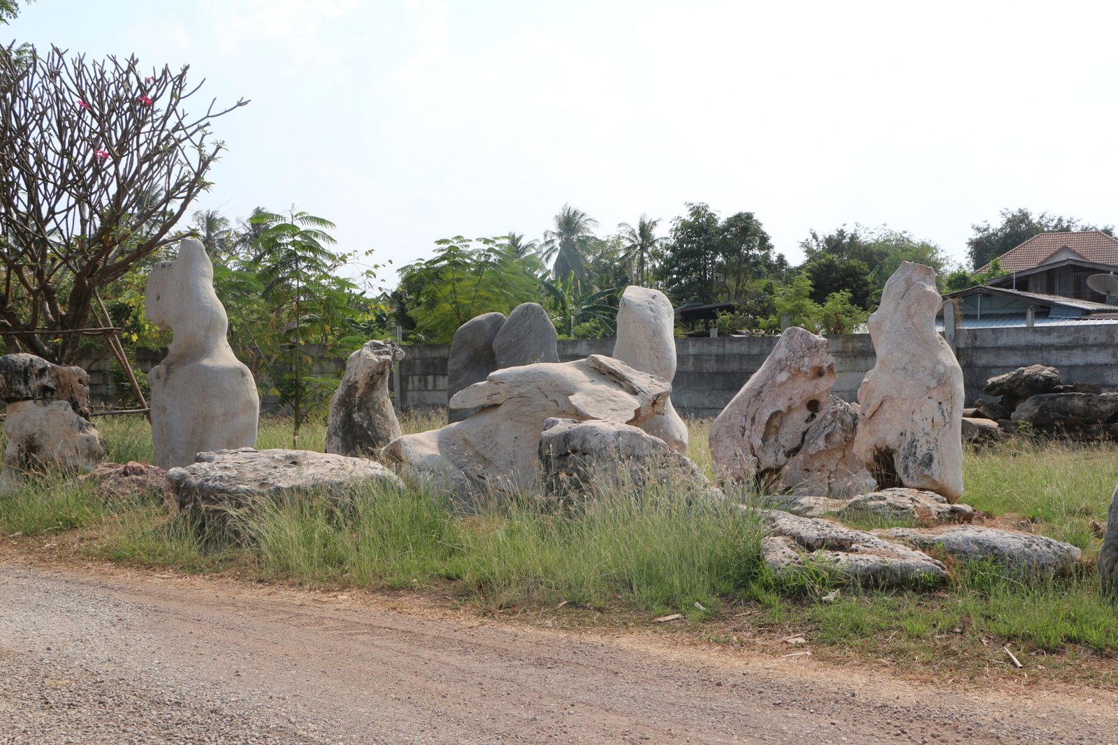 หินโชว์ 1 จำหน่ายเป็นก้อน